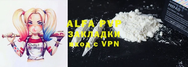 PSILOCYBIN Аркадак