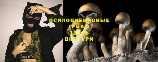 PSILOCYBIN Аркадак